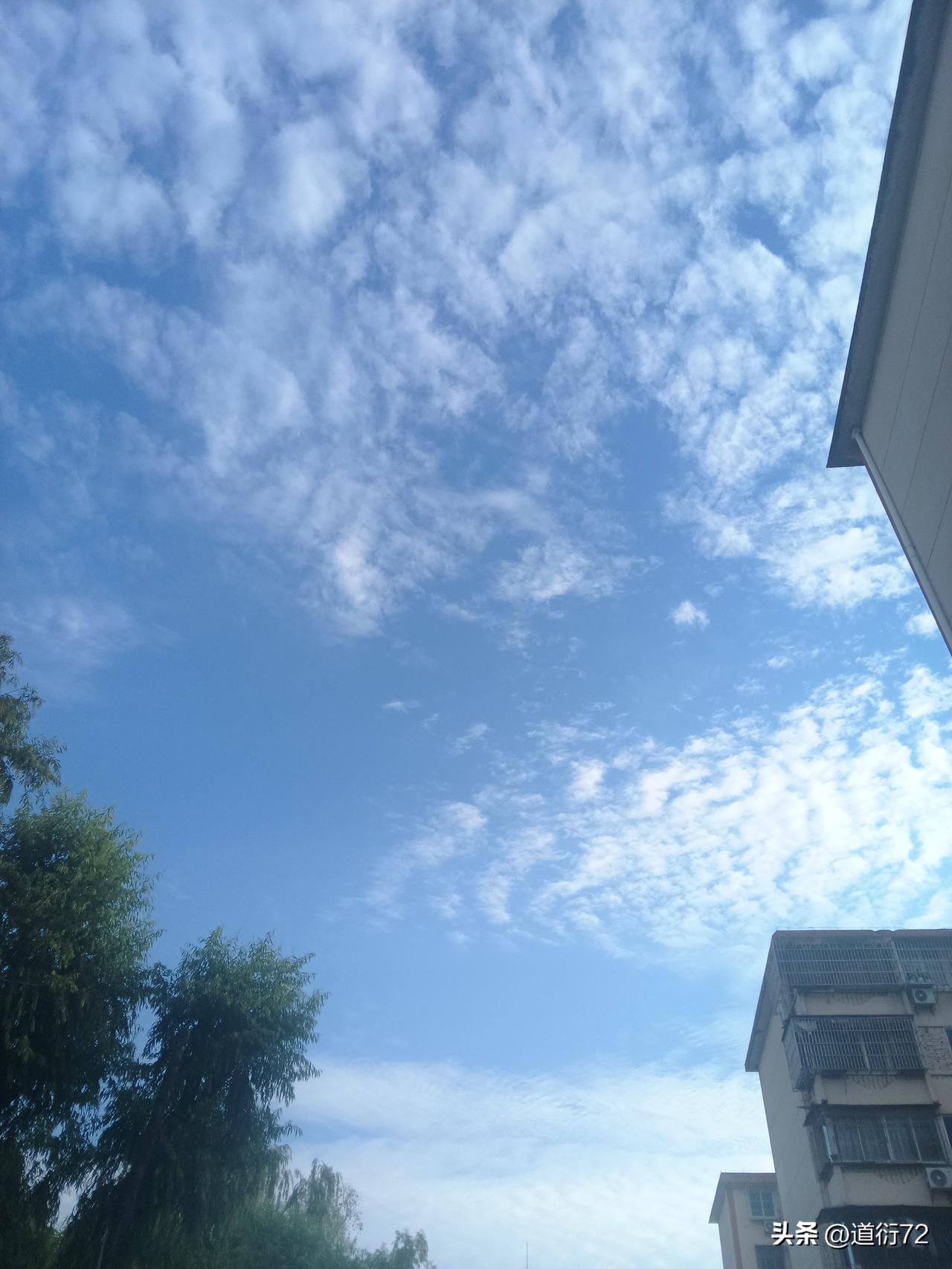 日本足球崛起的意义，就在于打破了体育运动的人种论。看看奥运赛场，足球赛场那刮起的