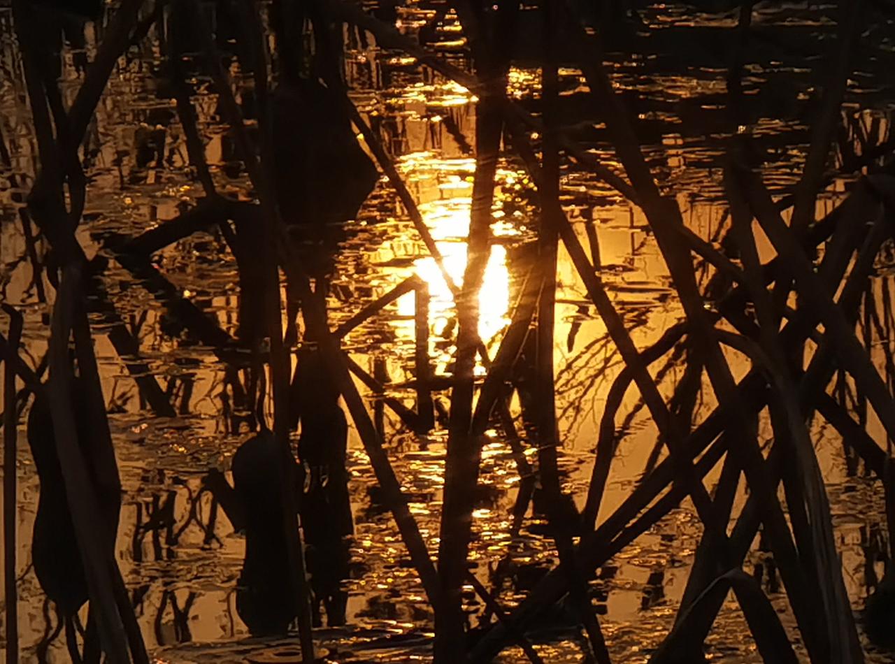 生活一半是美，
一半是发现美。