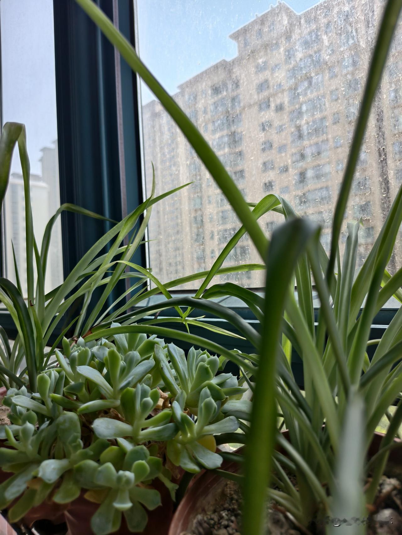 昨晚九点多至10点多，襄阳朋友圈全是雷电视频和闪电⚡照片。当时我正在古隆中游客中