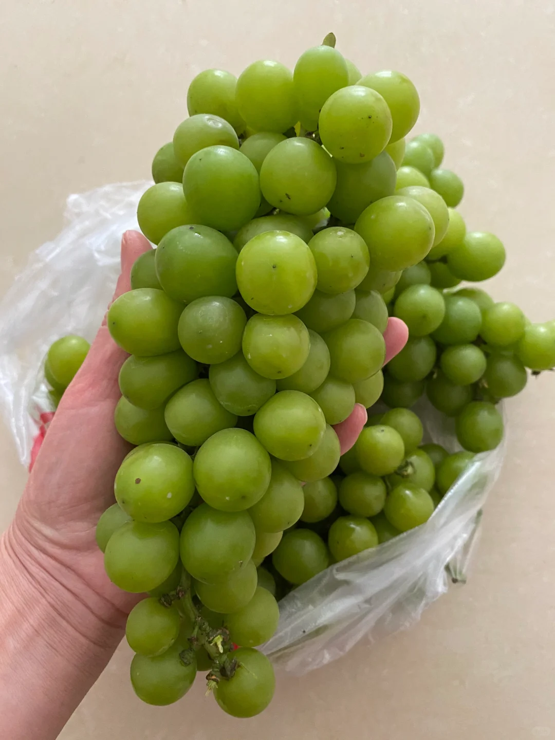 饭后水果🍇