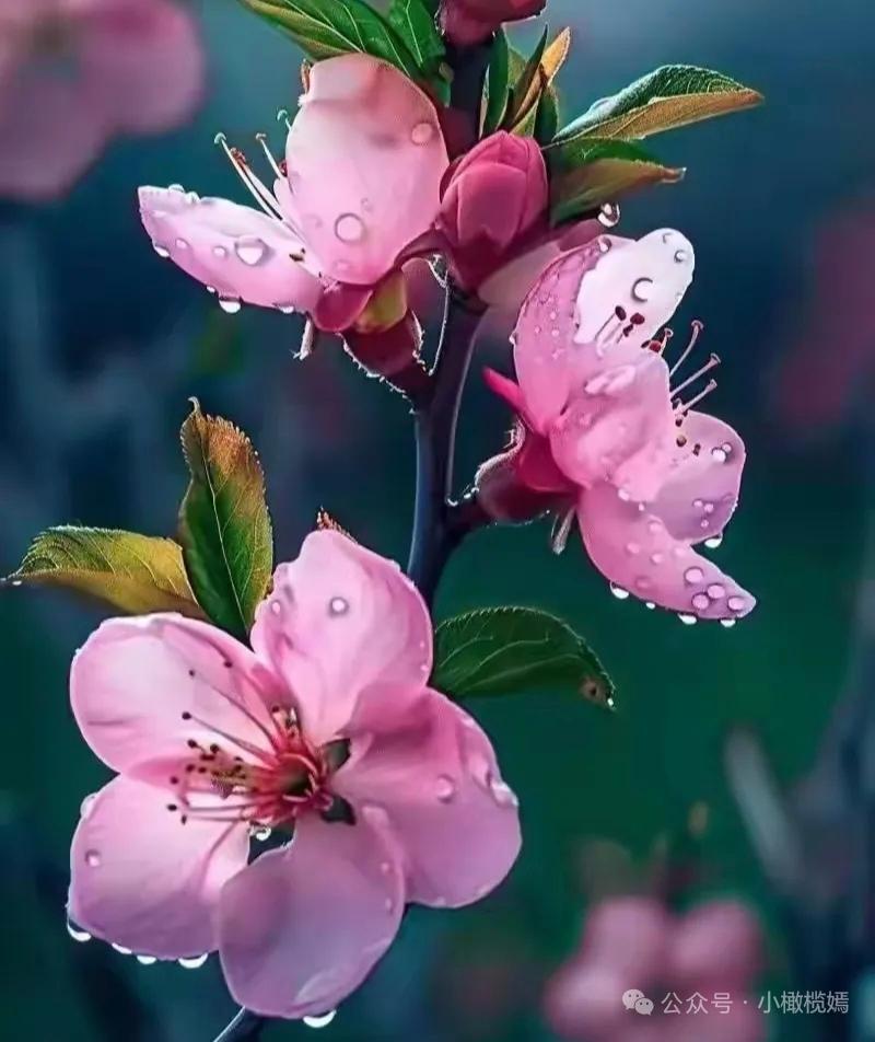 尚书和峤曾经从容不迫地对司马炎说：“皇太子司马衷有古代纯厚朴实的气质，可是到了现