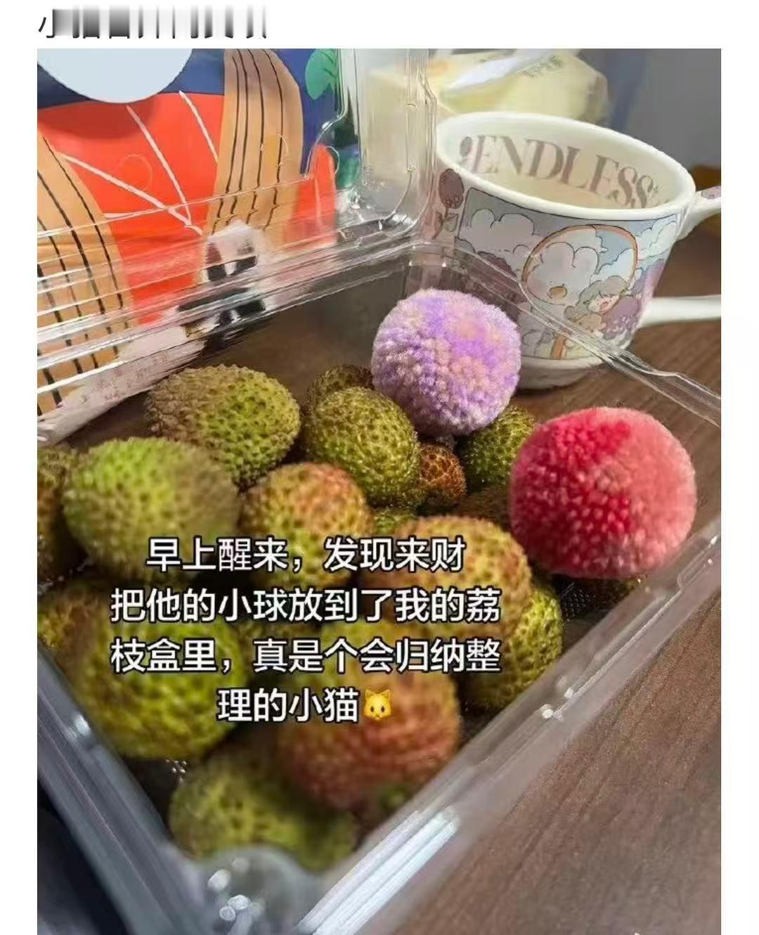 太可爱了 