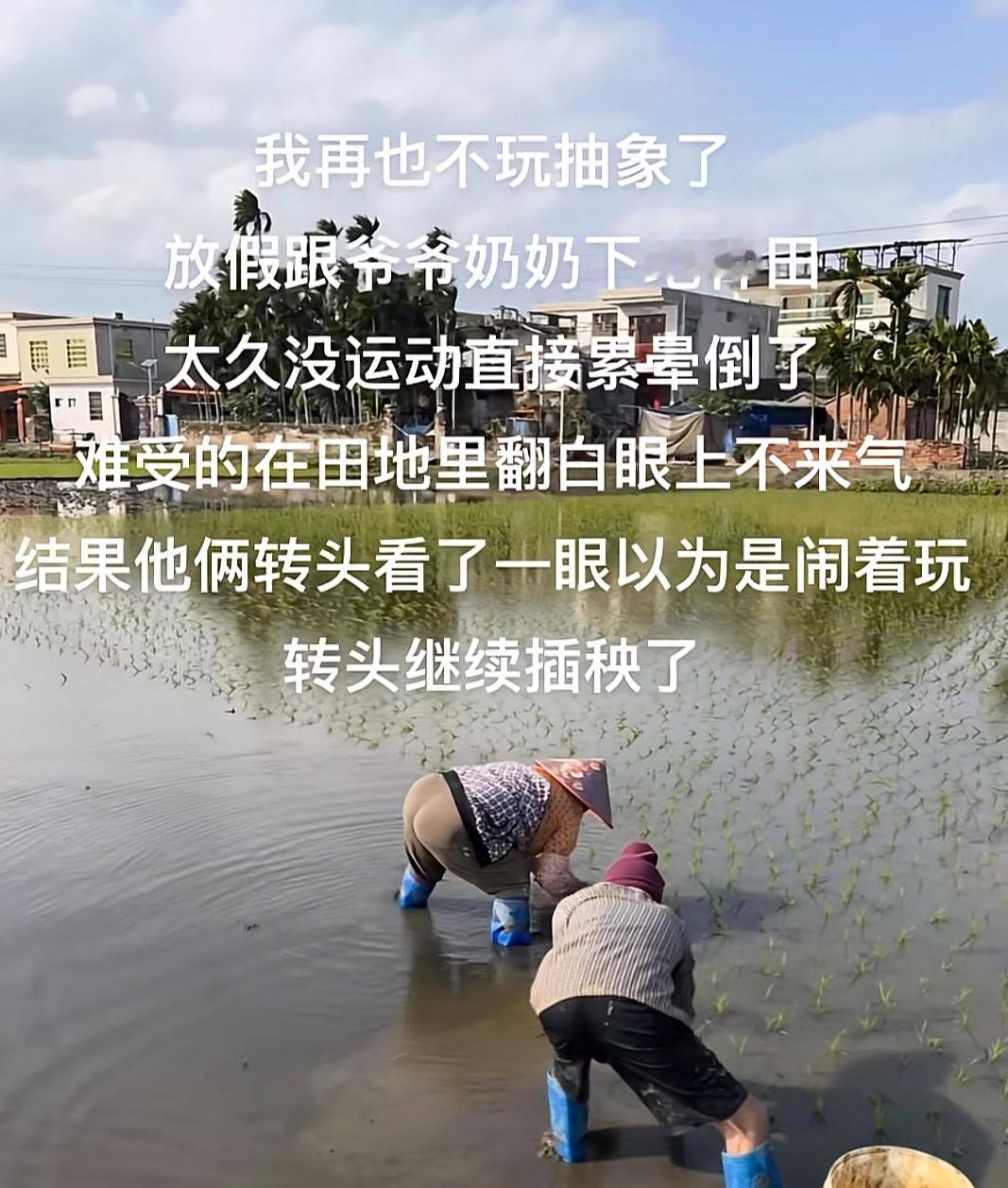 抽象玩多了的后果 平时抽象玩多了 有一次呼吸不上来晕倒了 朋友们以为我笑抽了 ​