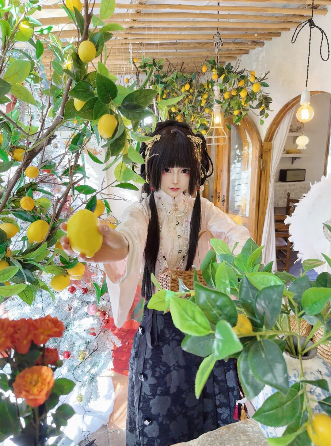 金鱼餐厅里的柠檬树