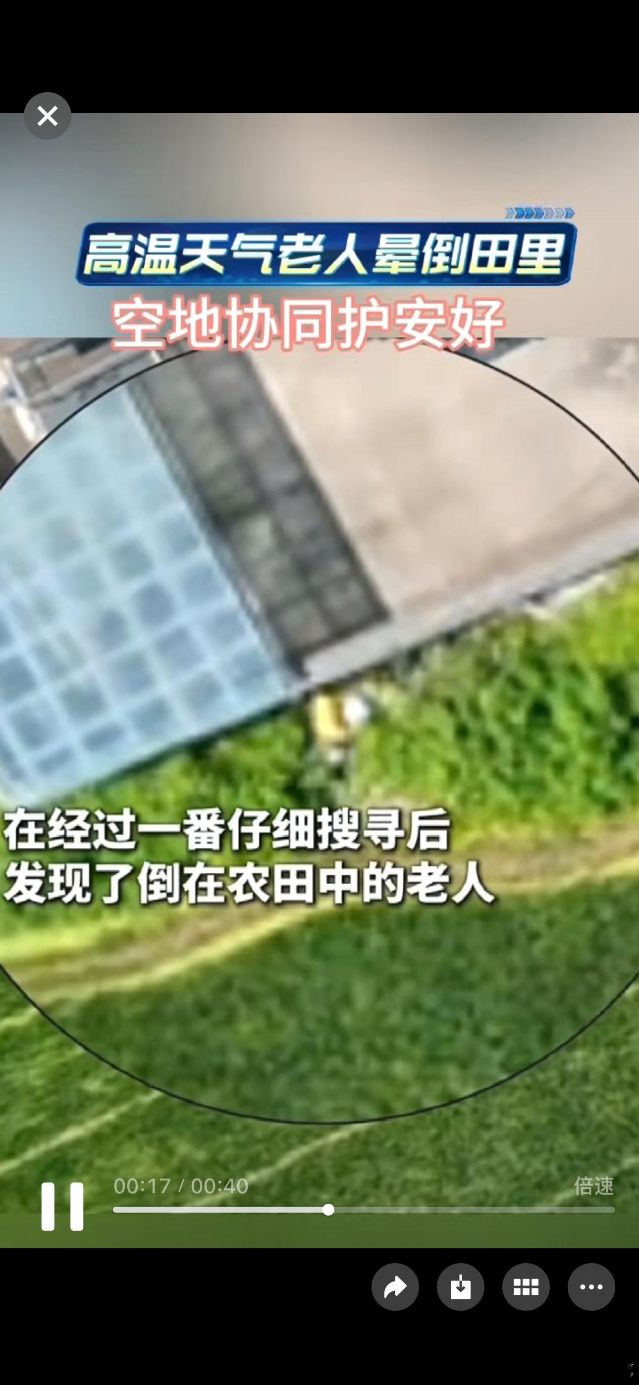 浙江民警无人机30分钟找回高温走失老人浙江长兴空地联动高效搜救守护高龄老人半小时