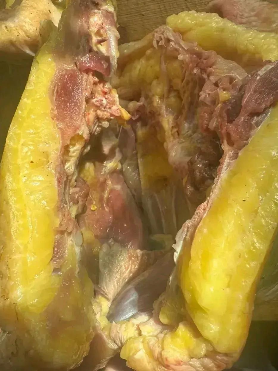 今天婆婆去菜市场买了只土鸡，重达6斤多，花费了119元。

她说她看到有人卖土鸡