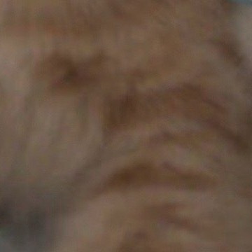 学会宽容，让你的生活没有烦恼；学会奉献，让你的生活充满阳光。 其实天很蓝，阴云总