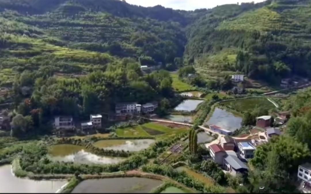 我准备在这里组建QQ农场，网友可以任意认领一块土地，在认领的土地上装上远程监控器