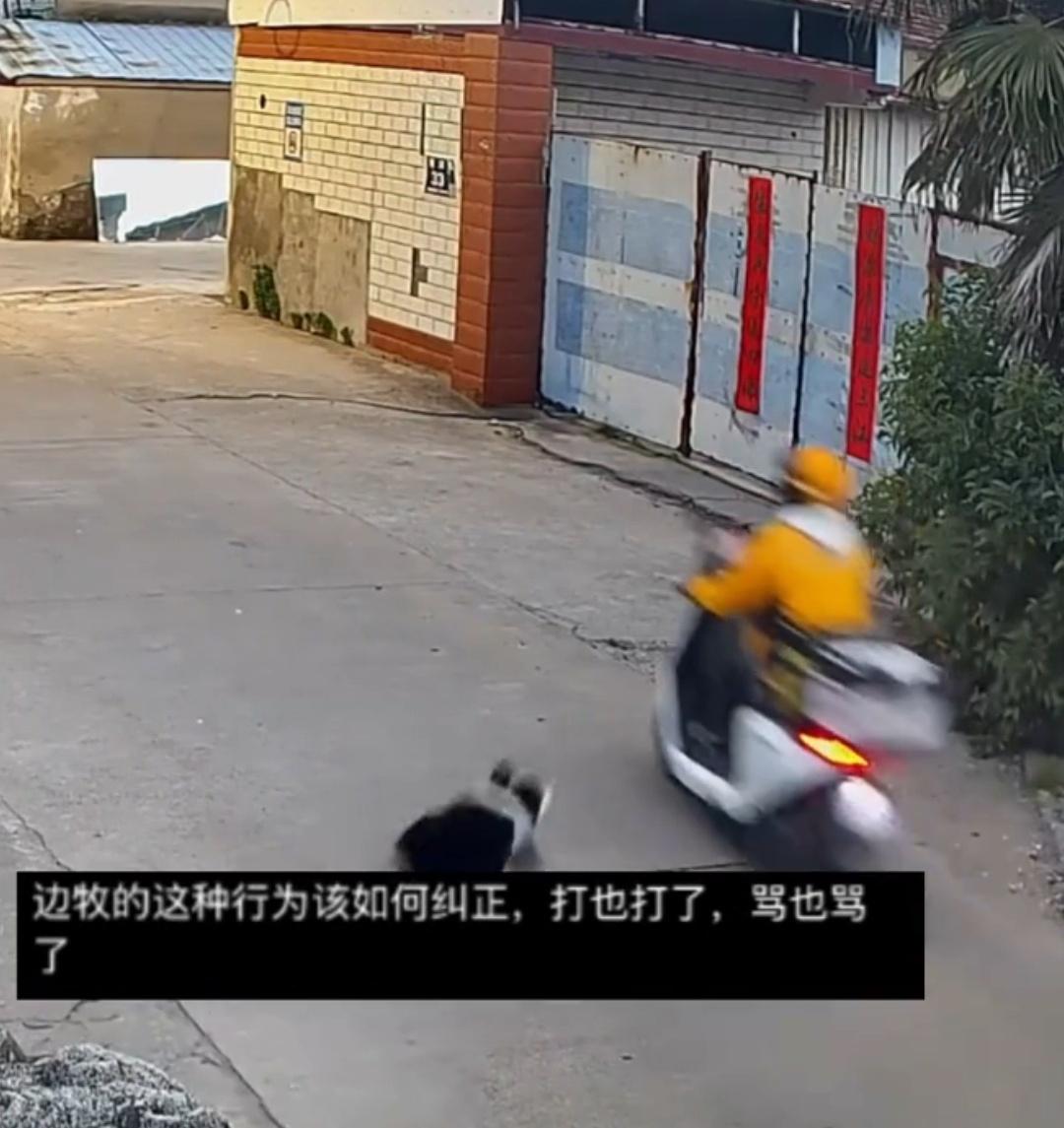 江苏一户人家把狗养在门口，多次追咬路边骑车经过的人，狗主人称：“打也打了，骂也骂