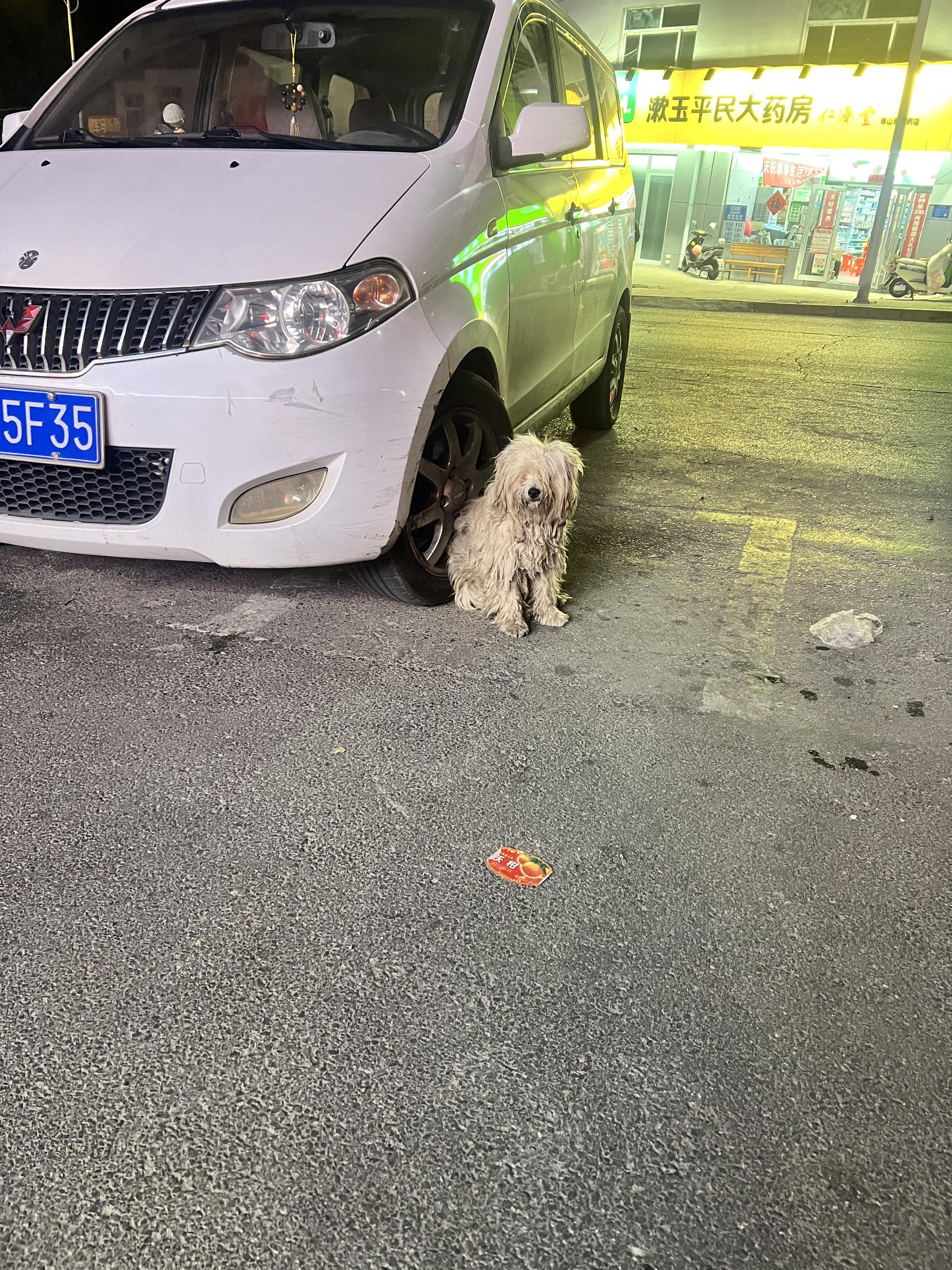 小地板擦。