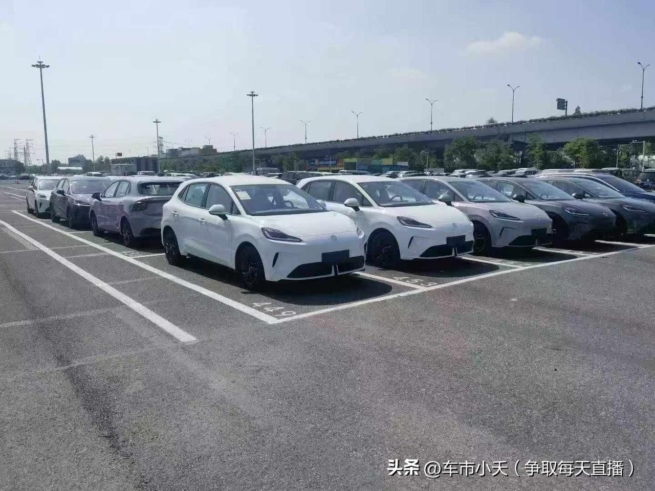 今年上半年汽车市场出现一个由政策导致的现象，50000以下车型销量同比暴跌55%