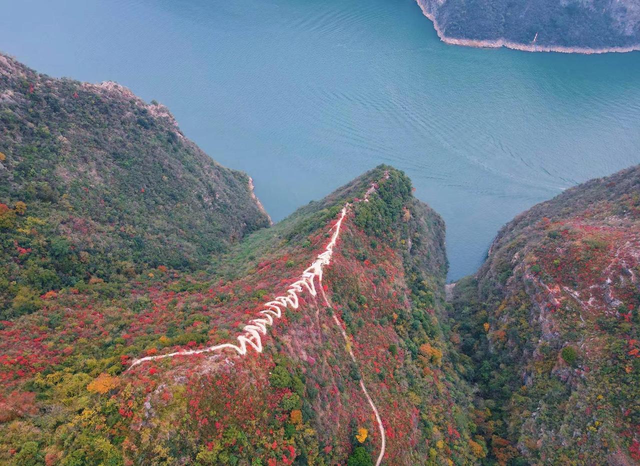 再不来夔门看红叶就要等明年了哦夔门 奉节