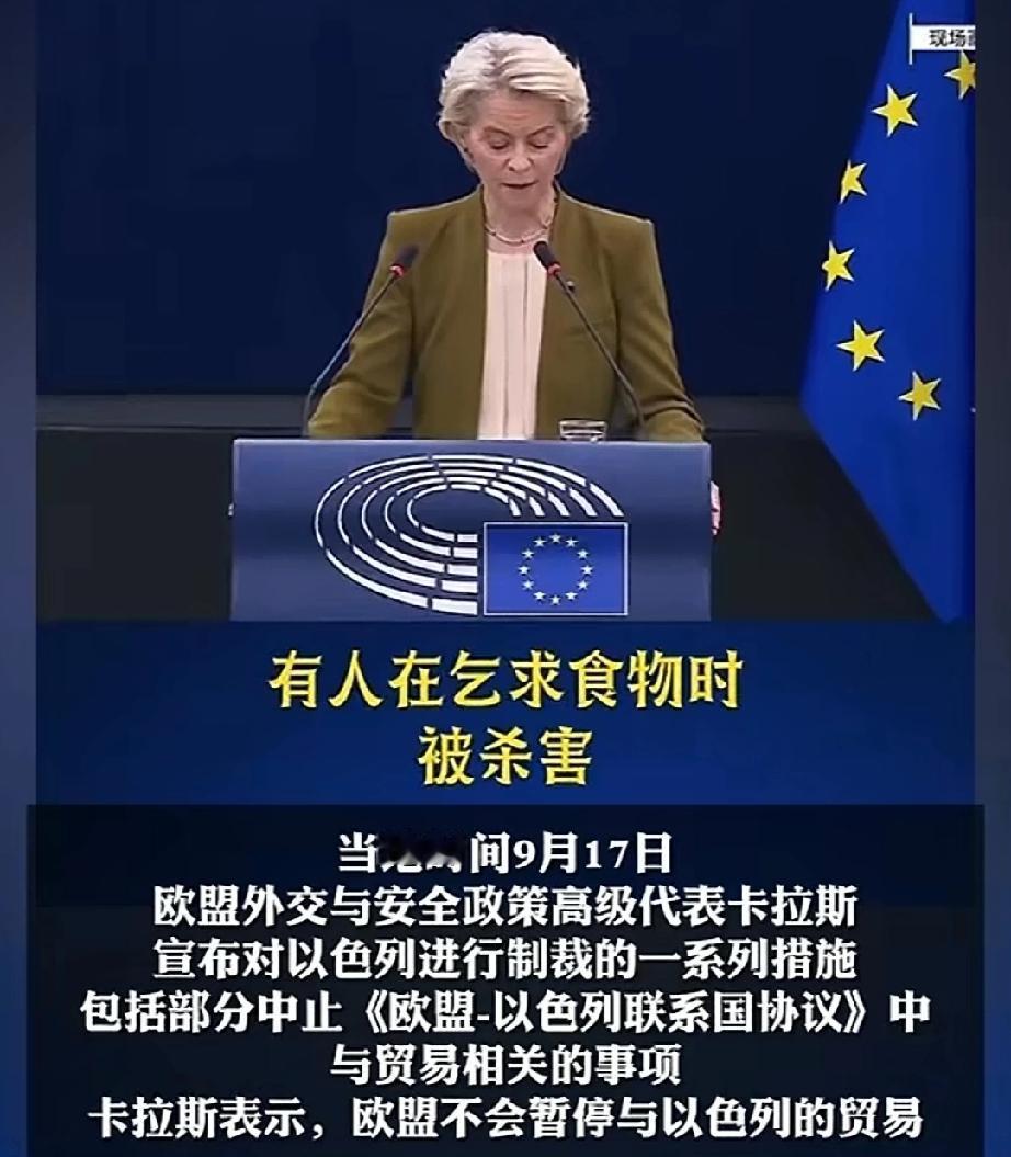 9月17日，欧盟委员会会议，通过了欧盟外交与安全政策高级代表卡拉斯，提出的对以色