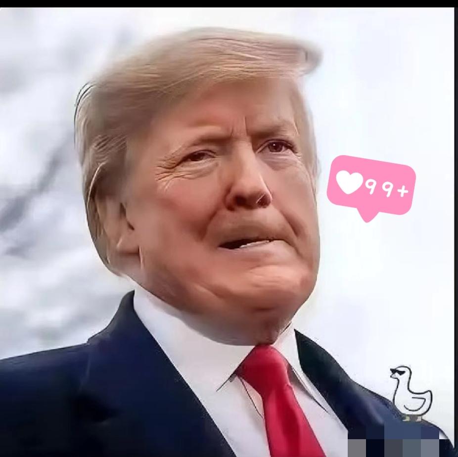 快讯！快讯！
美国特朗普公开证实！
 2025年10月19日，美国总统特朗普公开