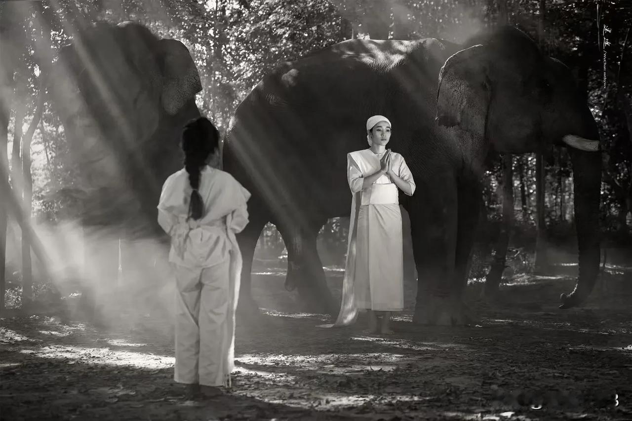 《鹧鸪天·人与大象》
（原创首发）陋室听秋/文
 
休叹今昔境不同，繁华过眼似飘