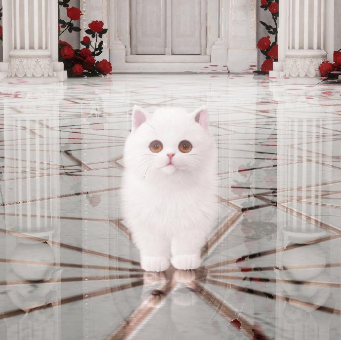 #以闪亮之名丑拉德# #宠物猎奇外观大赏# 以闪宠物盲盒启动！！！我喜欢的样子它