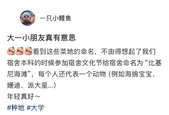 大学生给菜地取得名字都好可爱 校园创作者计划