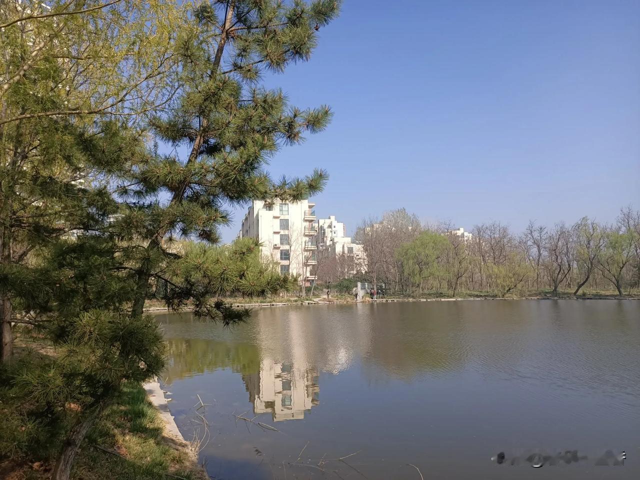 索赔10万多吗？浙江绍兴这事儿真让人无语。大妈骑车伤脚去卫生院，医生把云南白药每