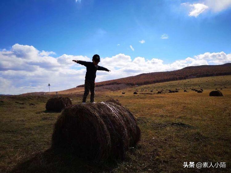 真是很有意思，月初我老公被检查 出双侧股骨头坏死，然后我的视线里竟然总是能看见股