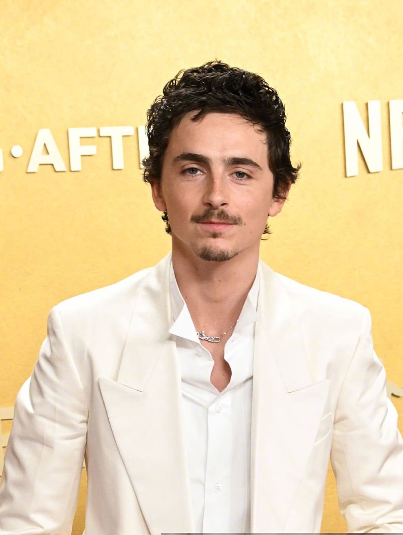 出席2026 年 Actor Awards（美国演员工会奖）颁奖典礼的甜茶Tim