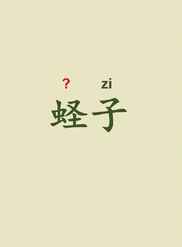 今天来学习——蛏子