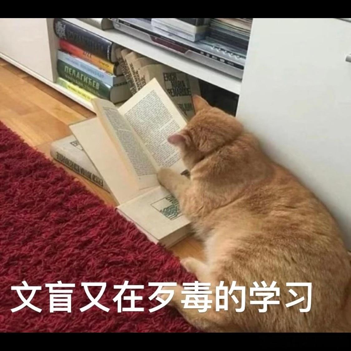 曝白玉兰场刊是各家团队自己撰写的为了证明工作室没这么烂，宁愿相信文案是组委会写的