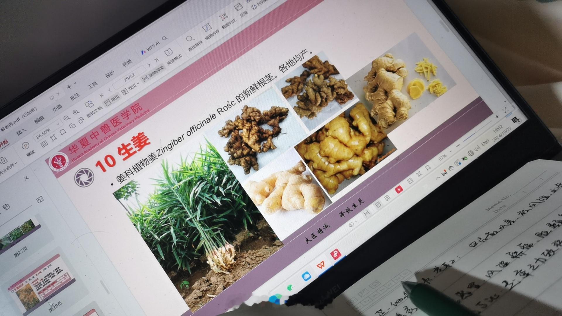 天有不测风云，人有旦夕祸福。蜈蚣百足，行不及蛇；雄鸡两翼，飞不过鸦。马有千里之程