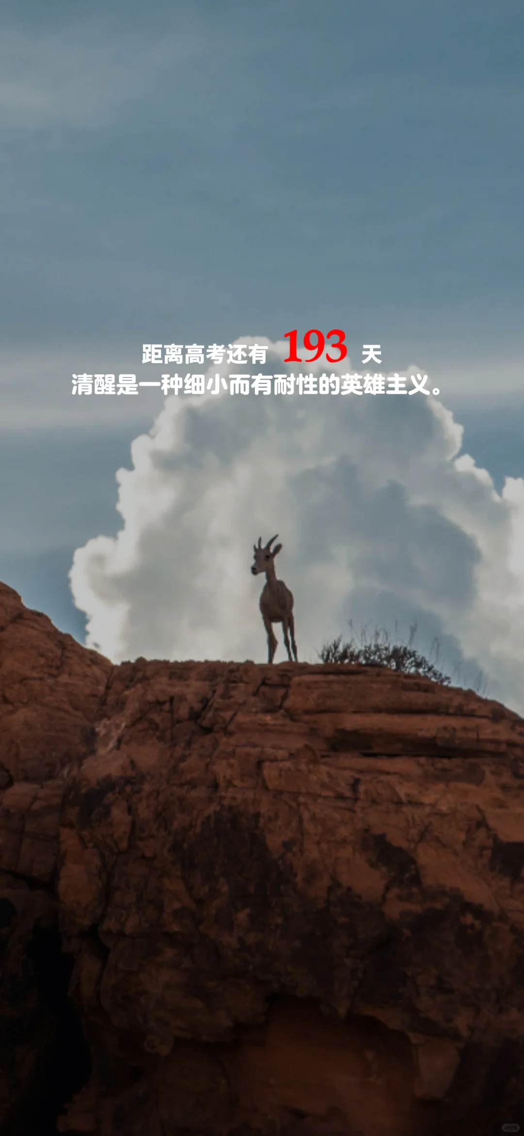 2024高考倒计时，每日更新。