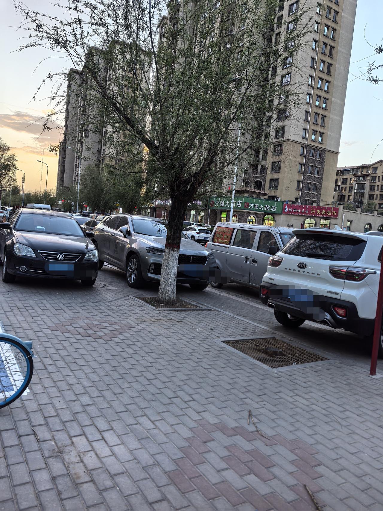 乱停乱放汽车占道止住了？郑州交通主要顽疾就是汽车乱停乱放，真正的堵路，堵门，堵小