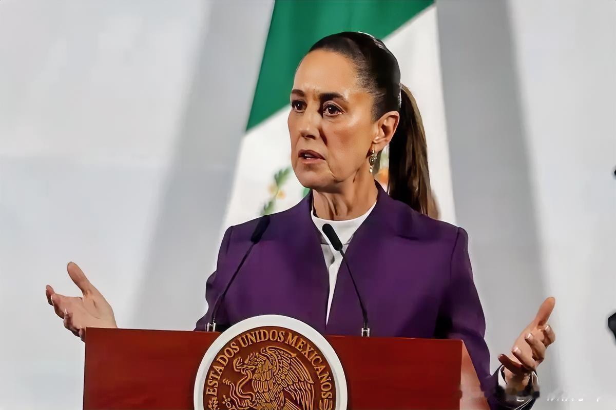 墨西哥参众两院这波操作，堪称“讨好美国却坑惨自己”的迷惑行为大赏！
当地时间12