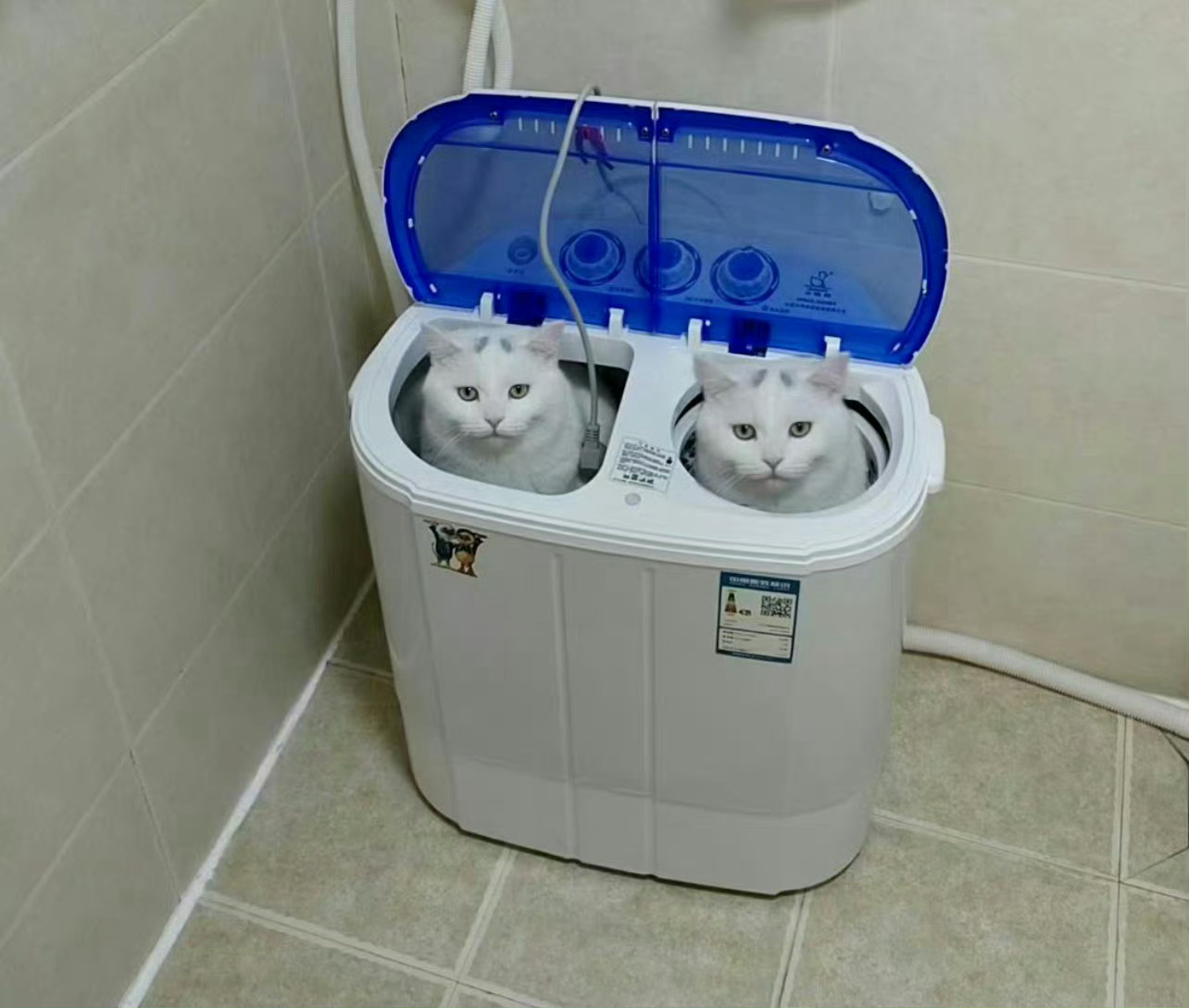 今年苹果发布的新品：AirPods5 ​​​