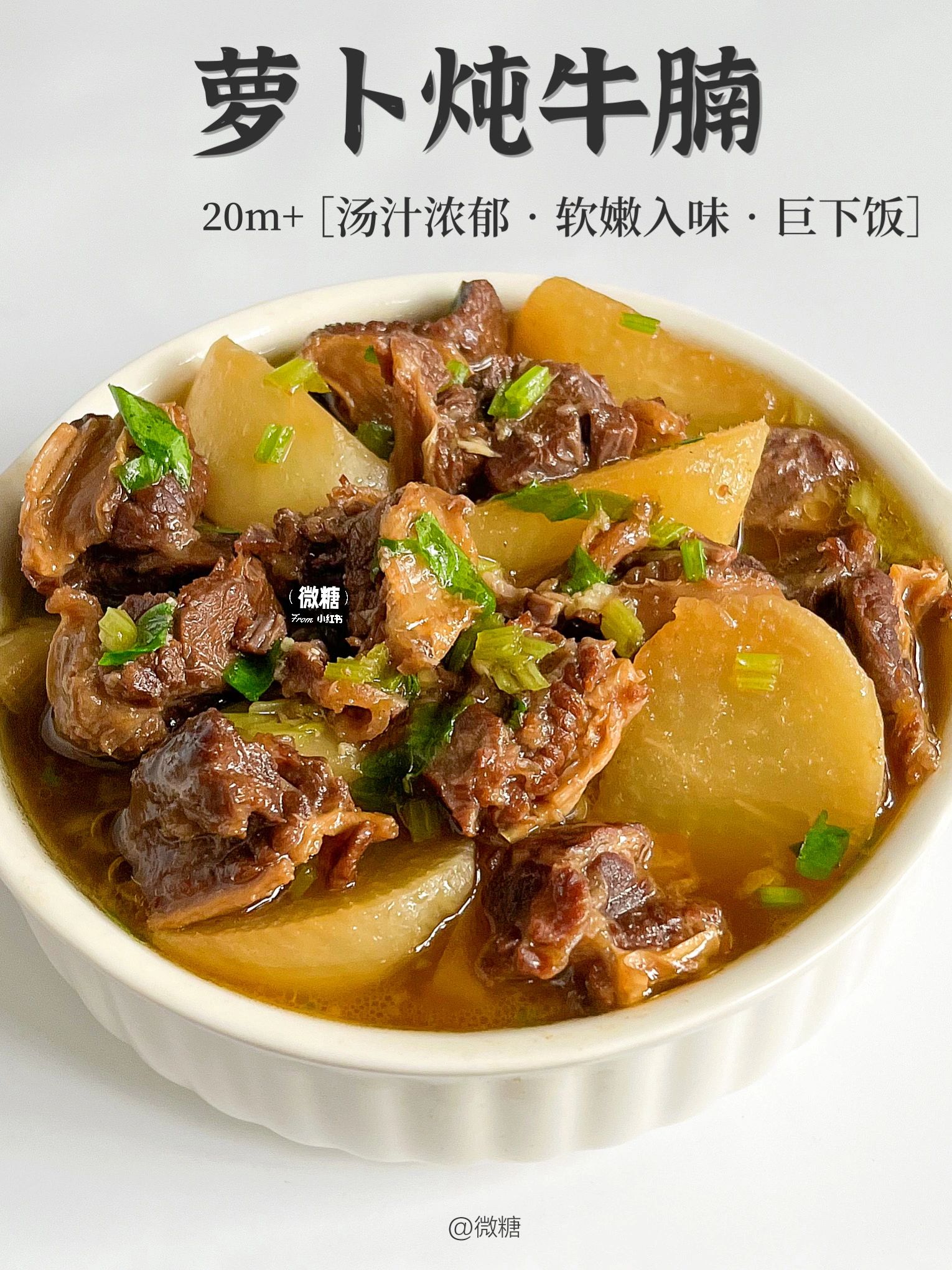 巨巨下饭的萝卜炖牛腩‼️软嫩入味，太好吃啦