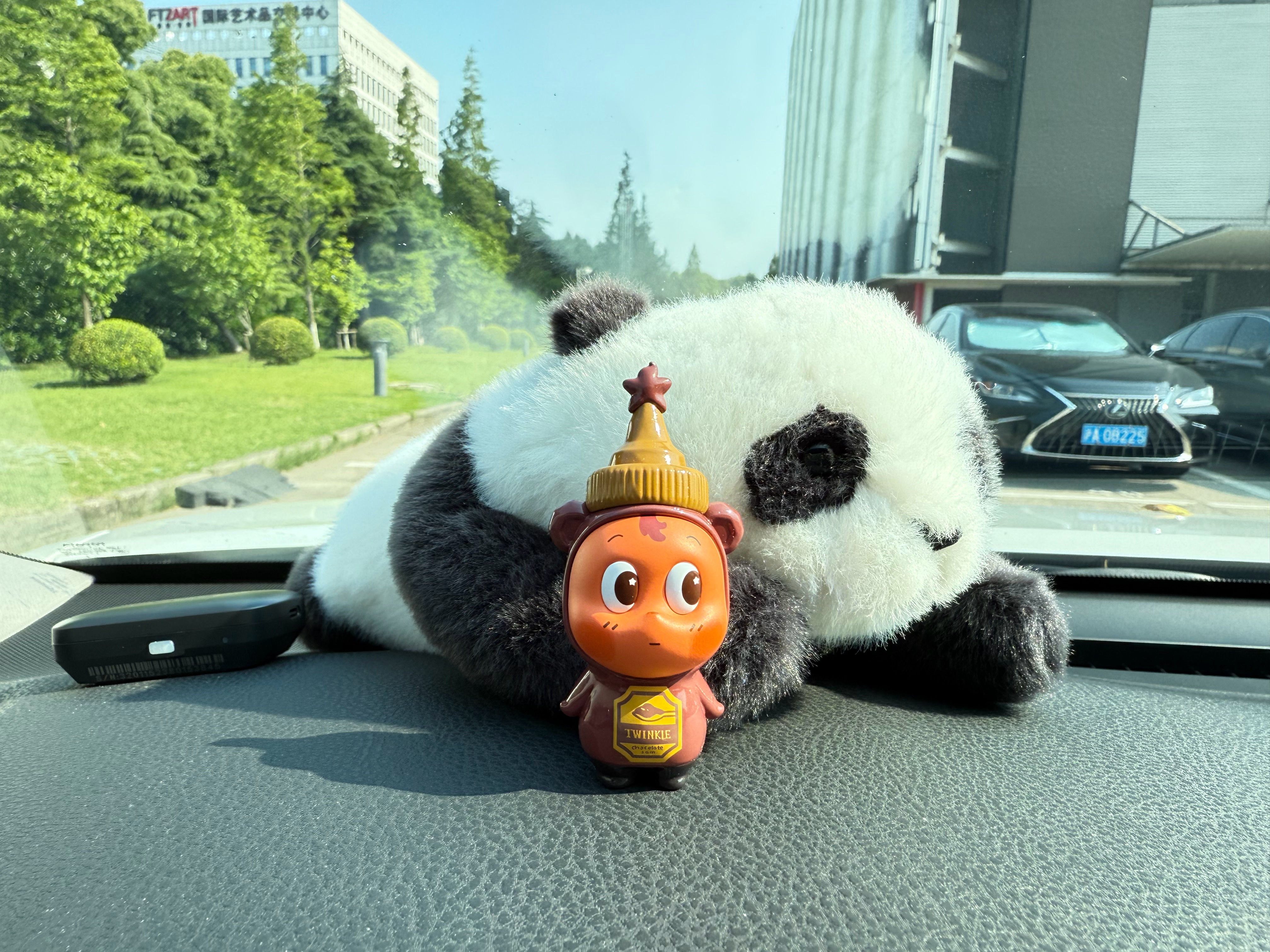 周二早上好☀️靠近光～追随光～成为光努力搬砖走起