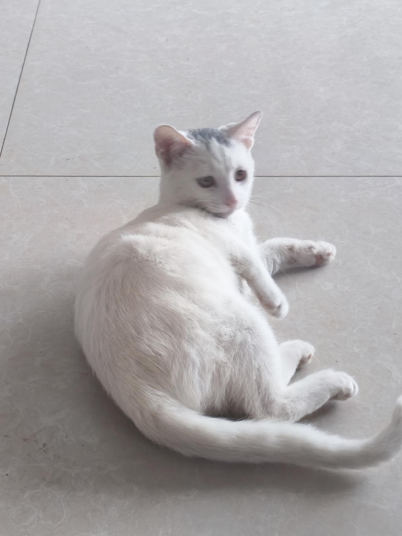 该努力的时侯拼尽全力，该争取的地方用心去做，至于结果如何，就别揪着不放。

随缘