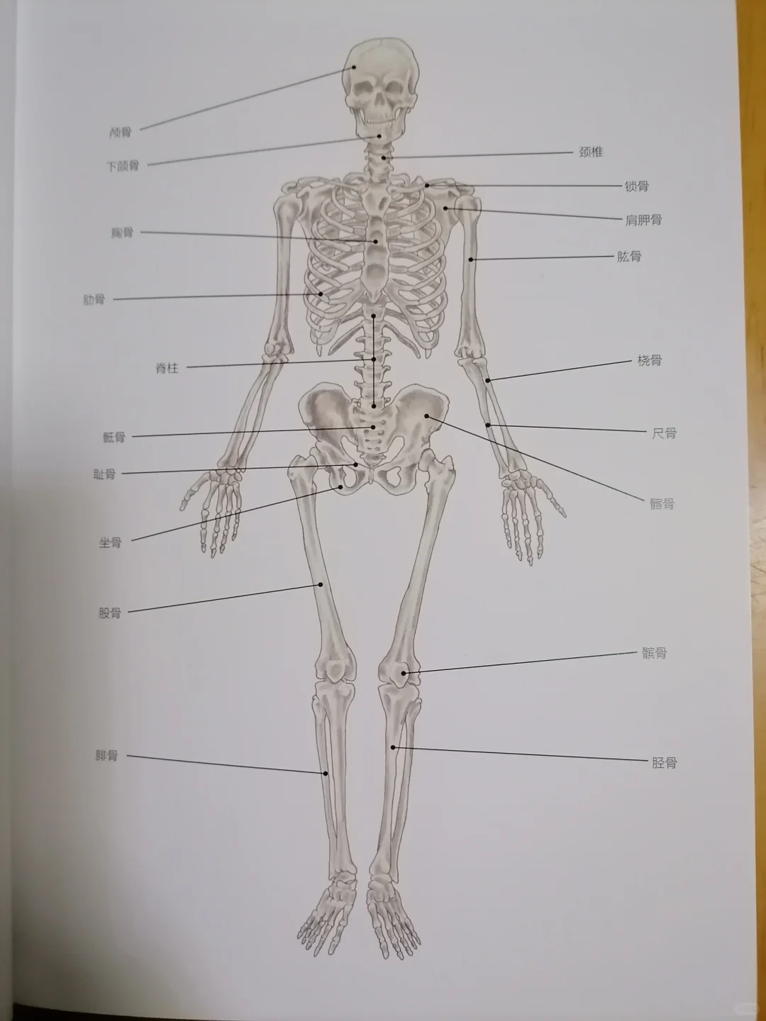 科学拉伸，健康生活