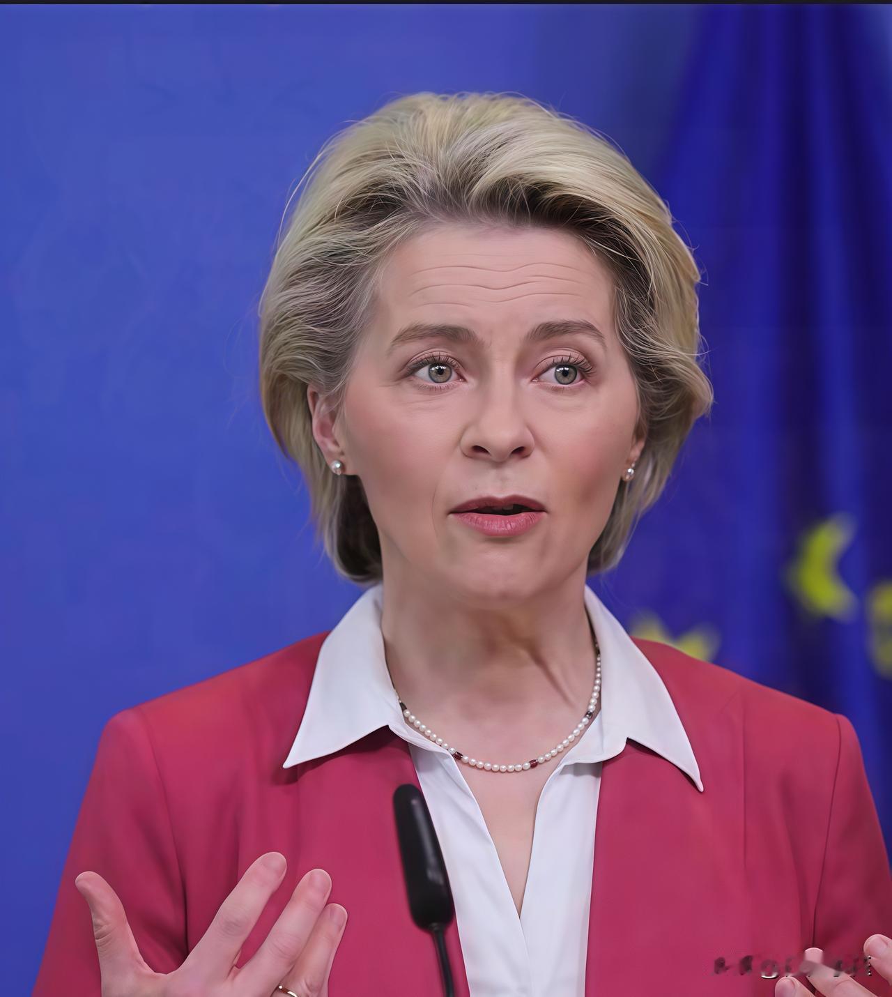 欧盟委员会正式宣布！
11月26日，欧洲议会现场传来重磅消息：欧盟委员会主席冯德