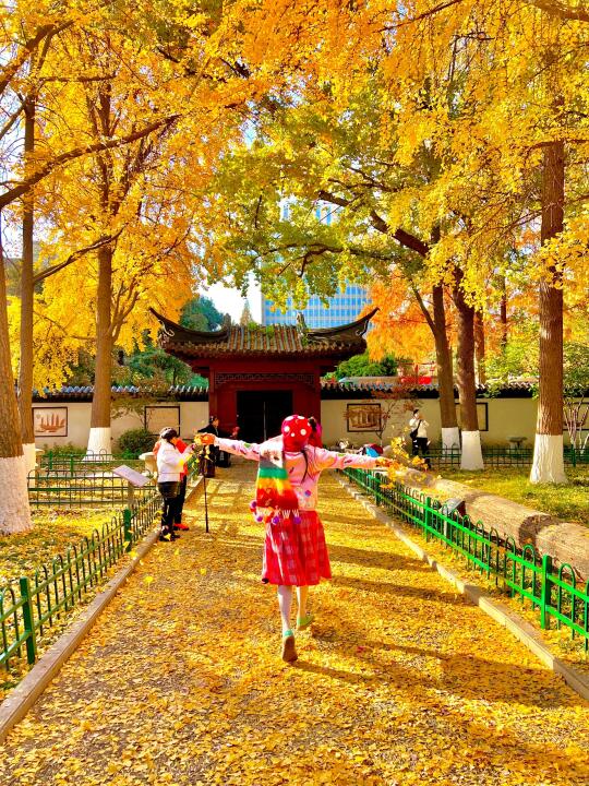 南京适合秋天拍照呆一下午的地方🍂live合集