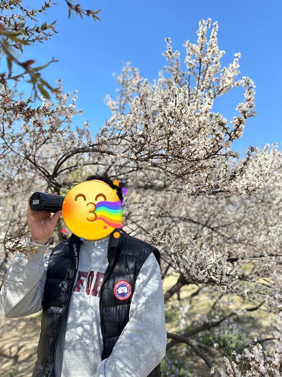 春天来了，踏青赏花[嘻嘻][嘻嘻]，感受慢生活  ​​​