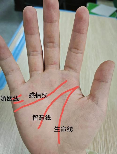 十种罕见掌纹，尤其三条主线，对我们人生起着至关重要的作用，看看你有没有？

掌纹