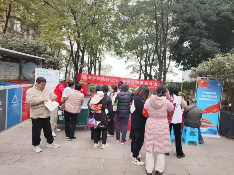 重庆两江新区人和街道：“宪”入分类践于行 法治环保两相宜