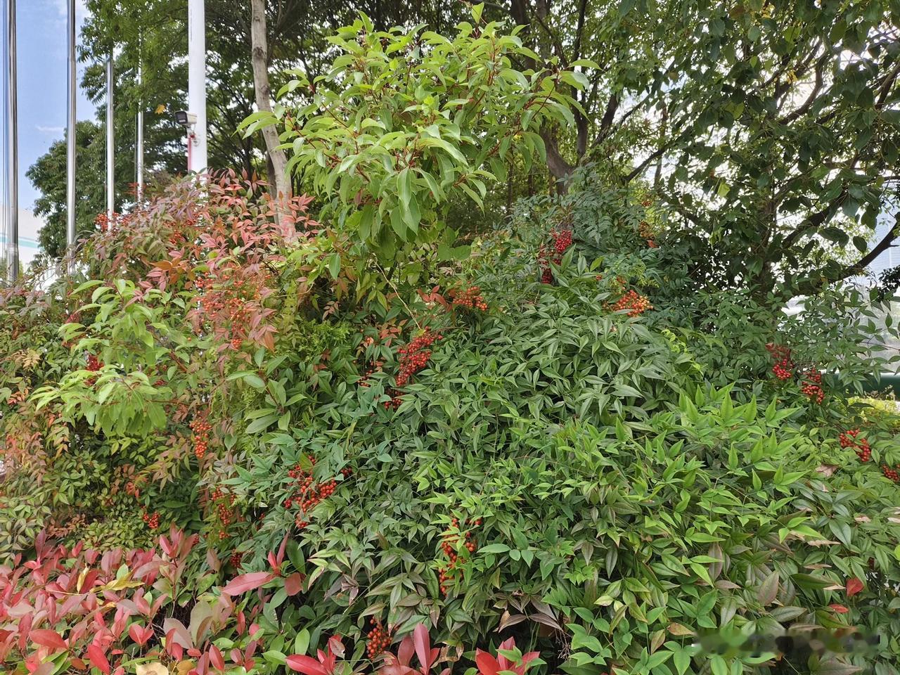 在冬日里，迎接寒冷的日子。不仅要有健康的身体，更应该积极的心态以对！毕竟人生冷暖