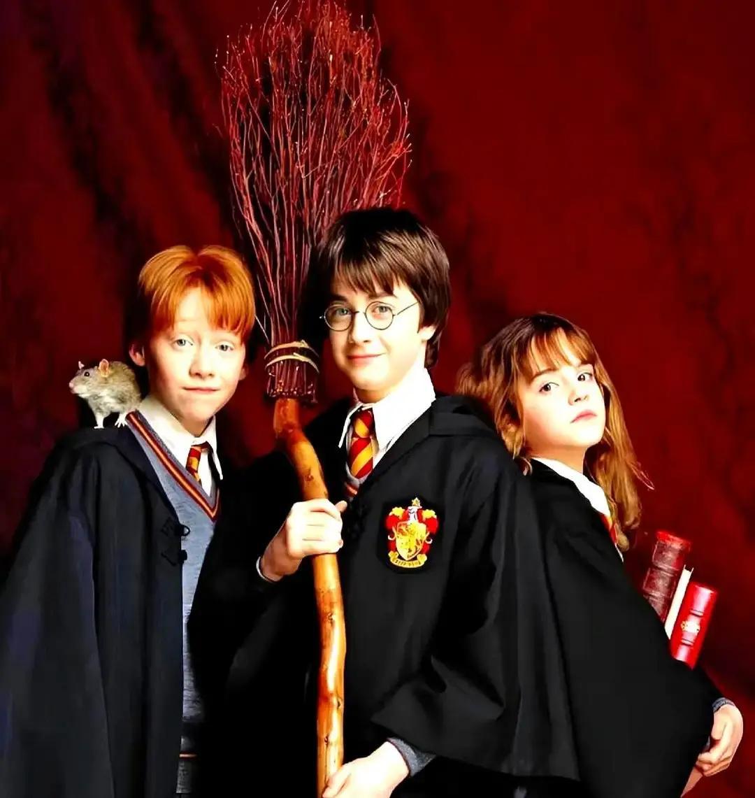 豆瓣有条长帖把《哈利·波特》里谁是什么发色全扒了一遍，说金色=纯血贵族，黑色=混