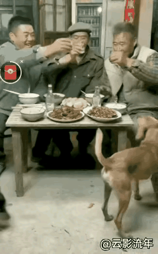 你喝你的酒
我抢你的肉
狐朋请狗友
干得满地流
这对狗儿成精了，这么一打架，桌子