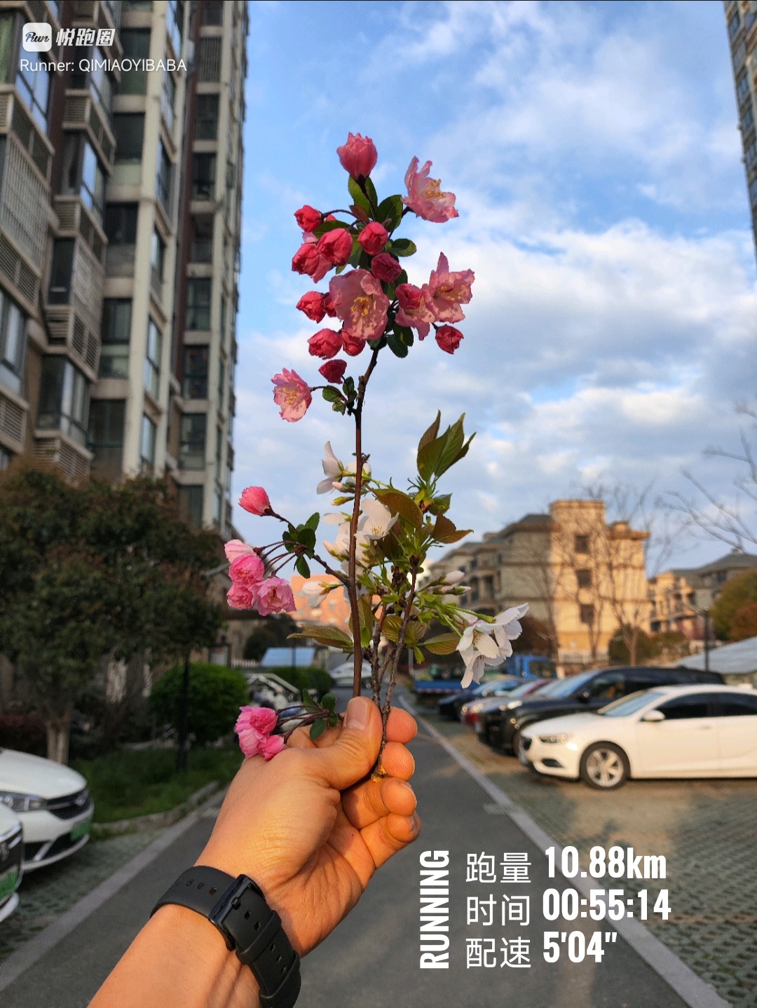 江南无所有同学们早ﾉ☀ 