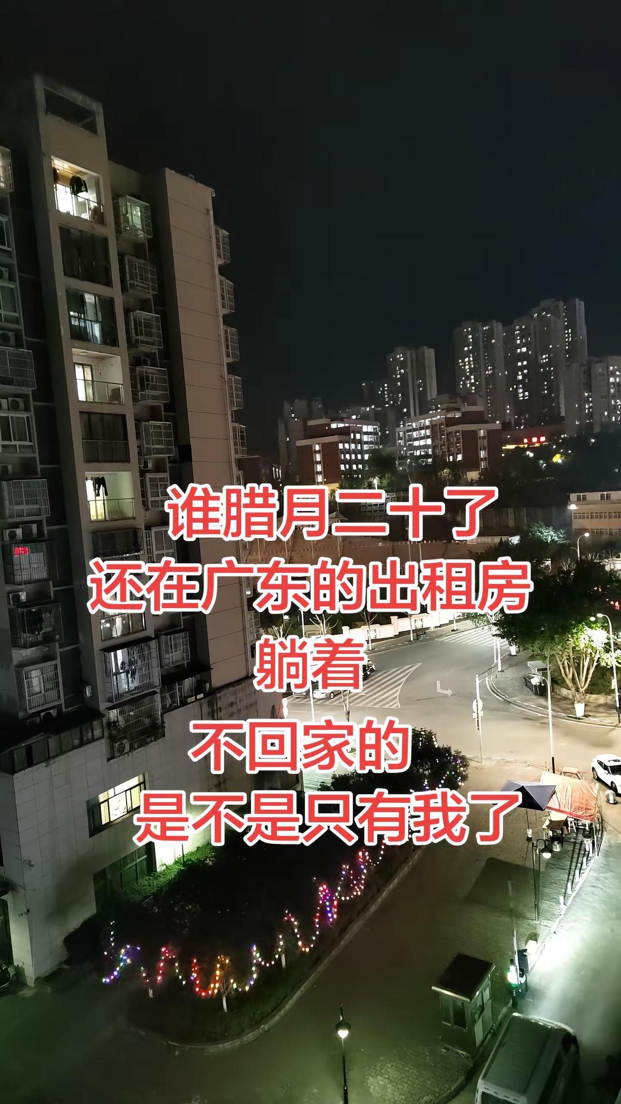 离婚的女人没有家，万家灯火却都不是归属