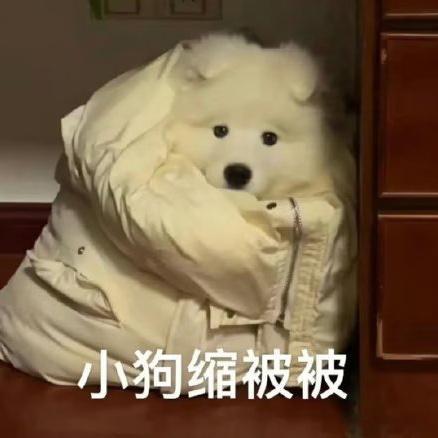 咪这几天的更新可爱喜欢啵请给予反馈