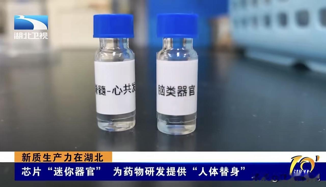 武汉又偷偷干成了一件大事！和我们每个人看病、吃药都息息相关，却很少有人知道！
