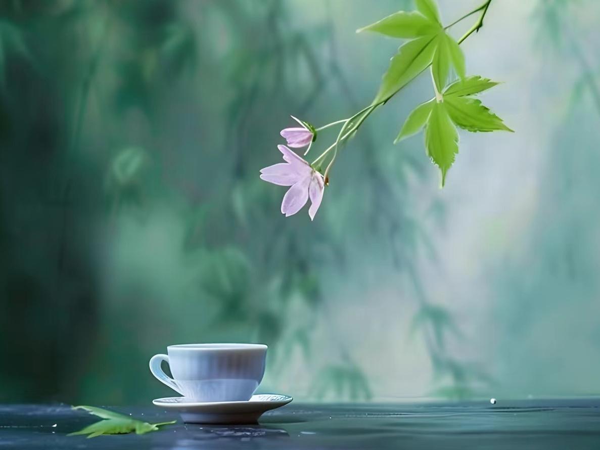 特别扎心的话：“只要你守过病重的父母一夜，不用多，就连续7天。你会明白，所谓孝顺