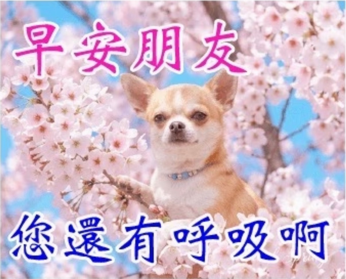 以后杂志榜单又要有什么新的限定词了呀 