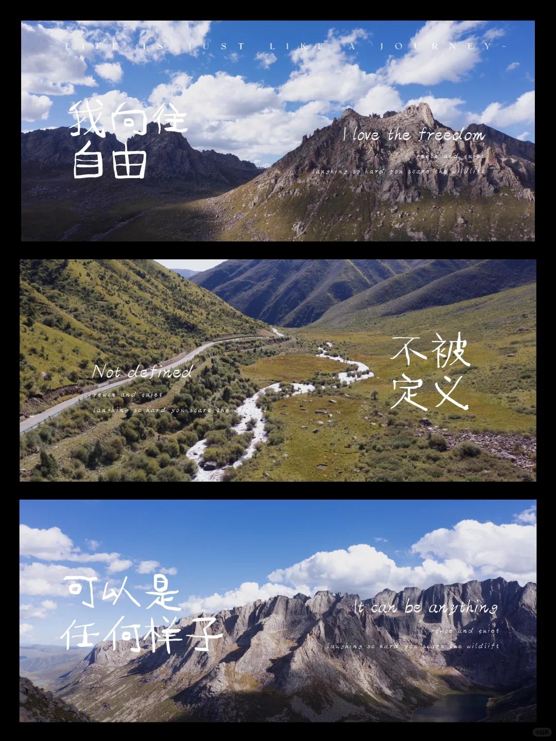 莲宝叶则也有春和景明